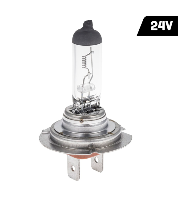 Żarówka VISION H7 24V 70W PX26d
