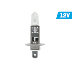 Glühlampe VISION H1 12V 55W P14.5s U E4