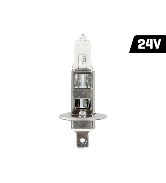 Bulb VISION H1 24V 70W P14,5s U E4