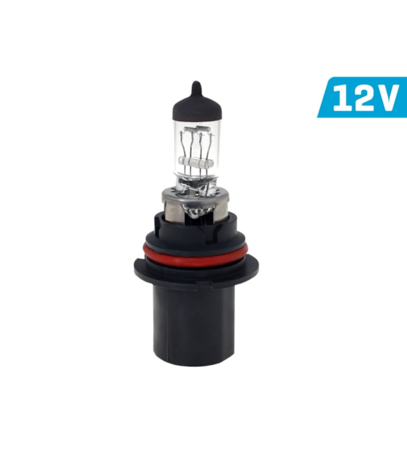 Ampoule VISION HB1 9004 12V 65/45W P29t U, E4