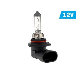 Ampoule VISION HB4 9006 12V 55W P22d U E4