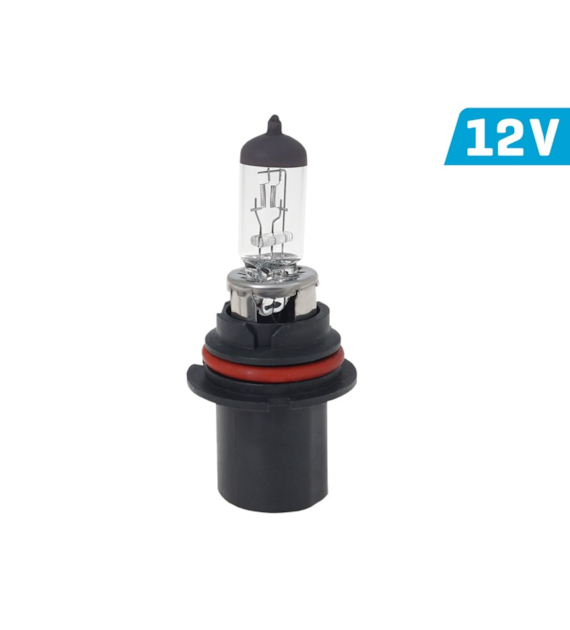 Ampoule VISION HB5 9007 12V 65/55W P29t U, E4