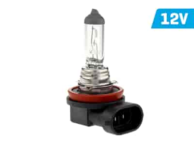 Ampoule VISION H8 12W 35W PGJ19-1 U E4