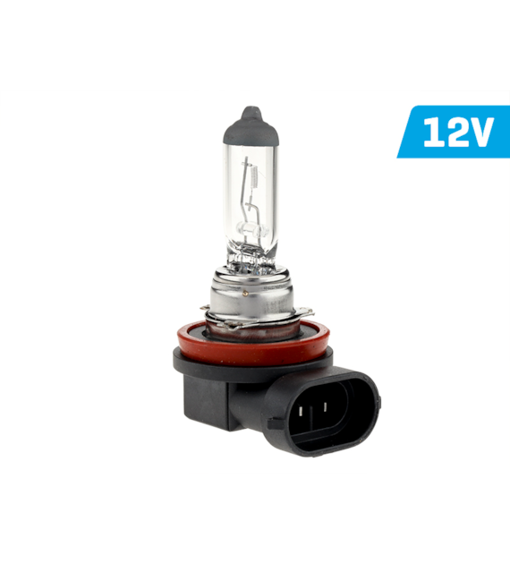 Ampoule VISION H11 12V 55W PGJ19-2 U E4