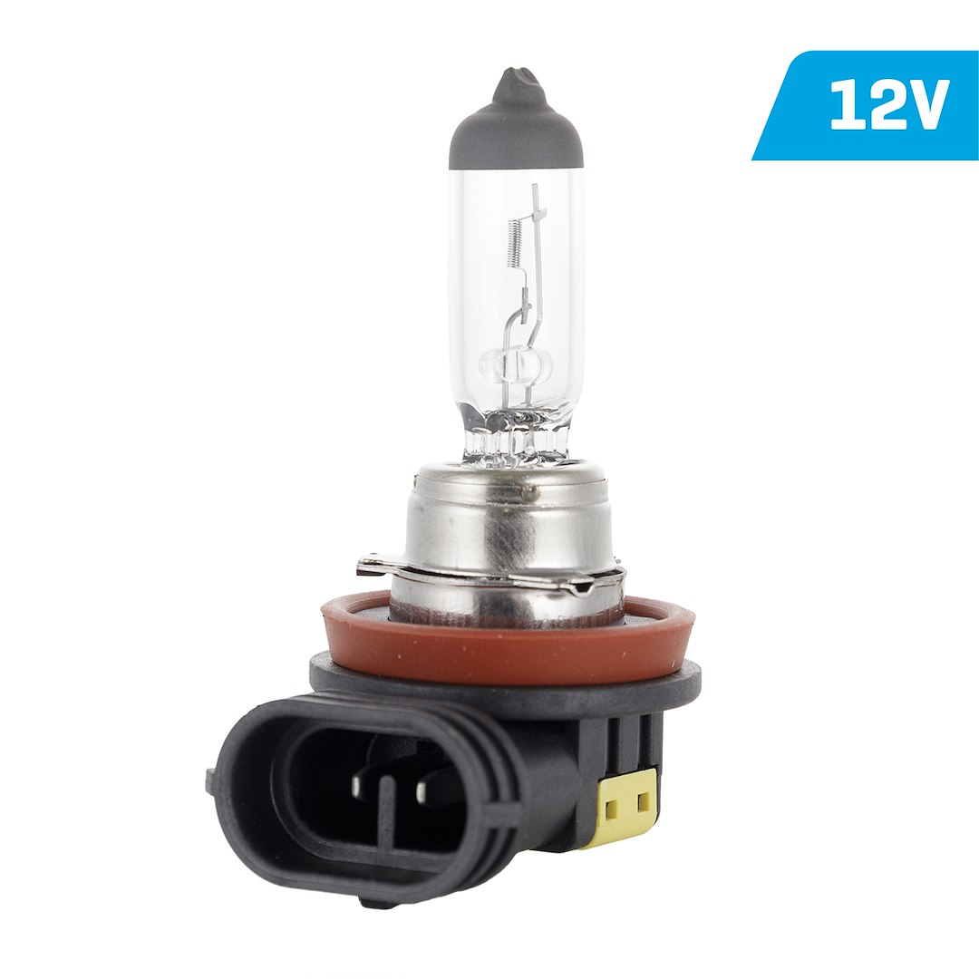 VISION H8 12W PGJ19-1 Halogen Auto Leuchtmittel E4