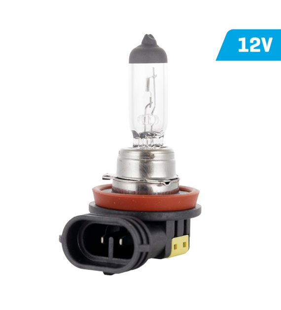 Żarówka VISION H8 12W 35W PGJ19-1