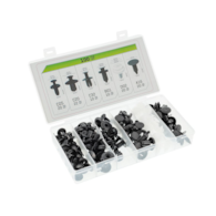 Car upholstery clips, set of 100 pcs