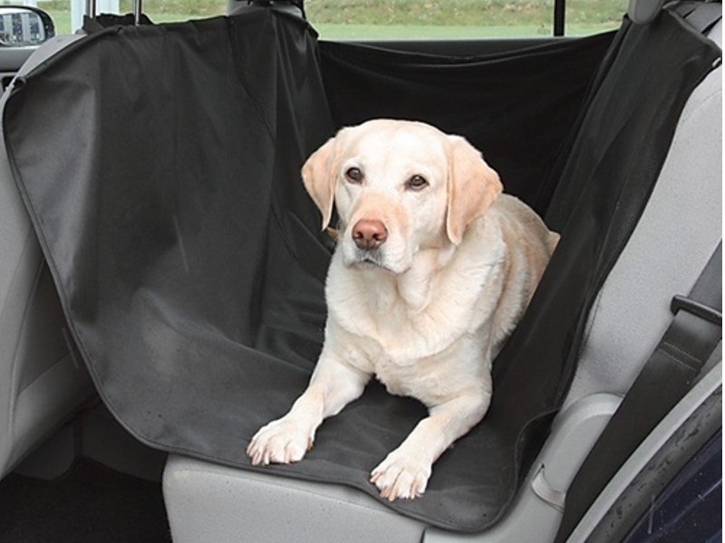 Housse de protection pour siège arrière 140x150 cm pour le transport d'un chien
