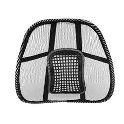 Mesh lumbar support + massage beads