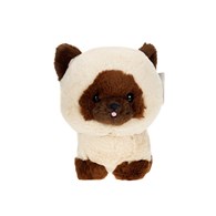 Teddy Pets, Spitz, Siamese cat