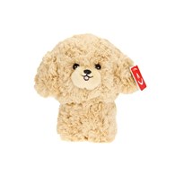 Teddy Pets, Spitz, Poodle, golden