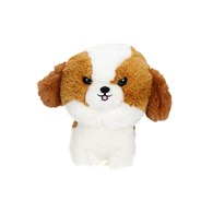 Teddy Pets, Spitz, Shih Tzu