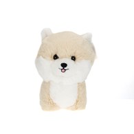 Maskottchen Teddy Pets, Spitz, Miniatur / Zwergspitz